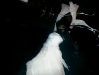 dri1_img042