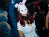 dr31s8_img046