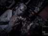 dr37s11-img086