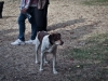 drtwsh1-img045